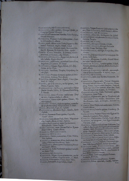 image 314synonymia12